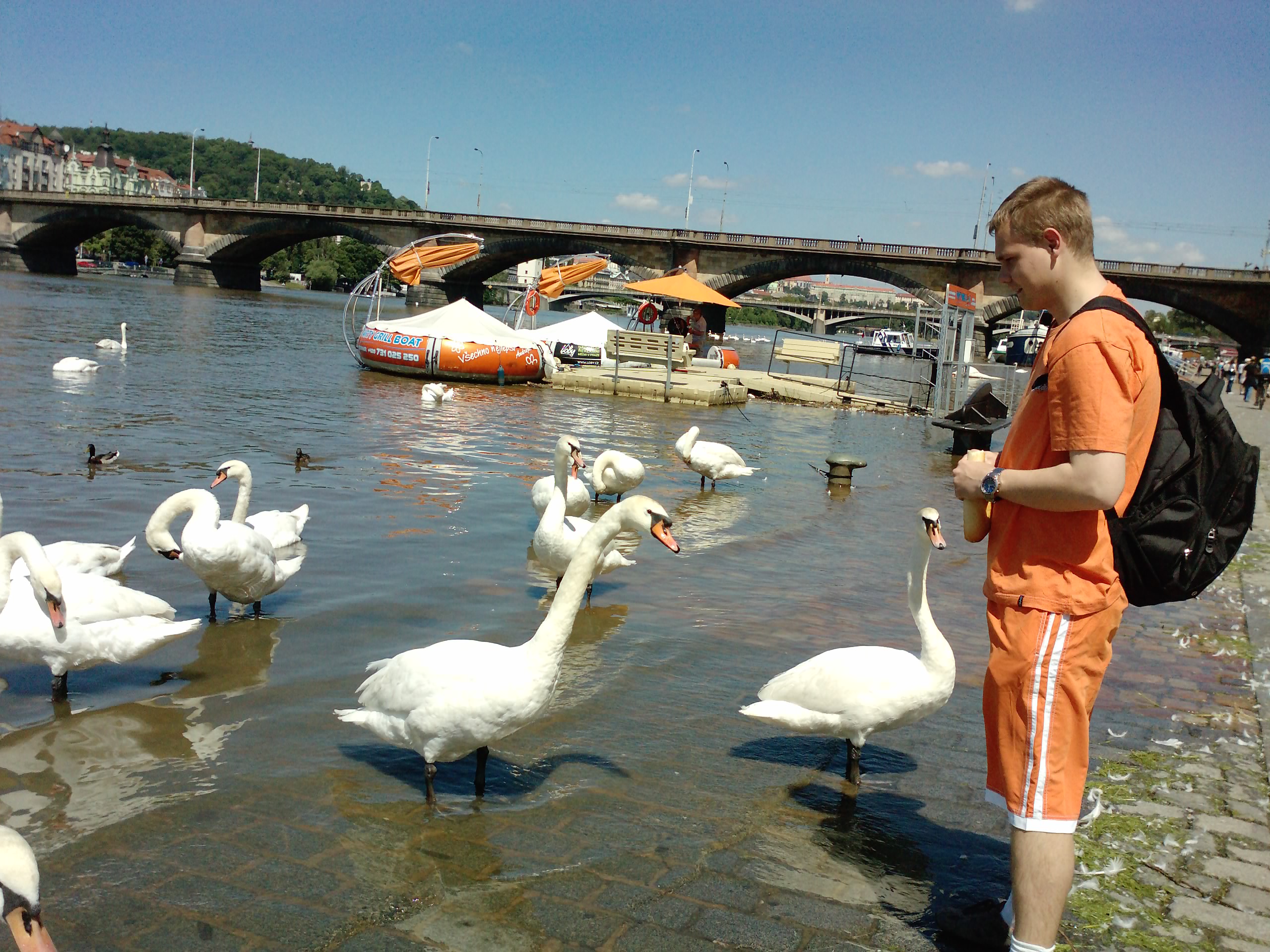 Povodně na Vltavě vůbec nevadily